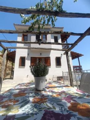 Panorama